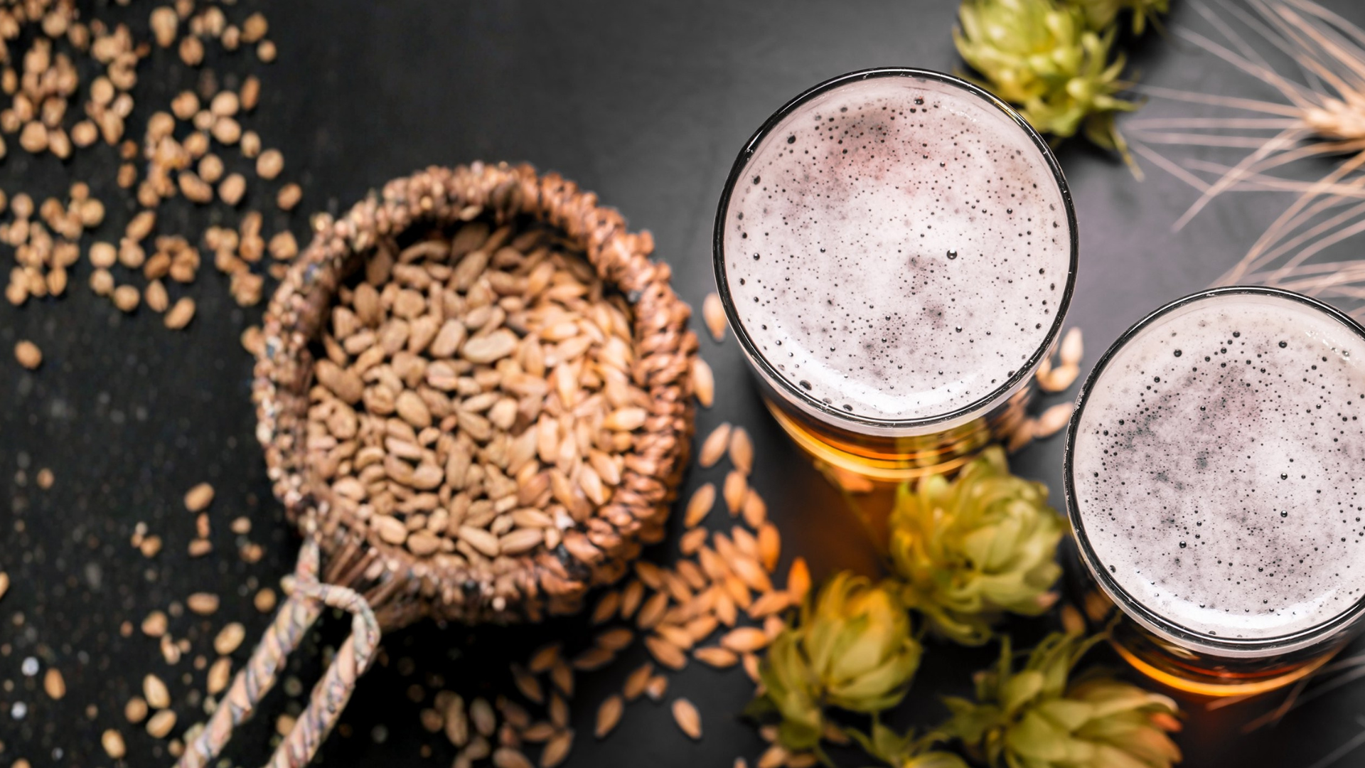 la nordique notre pourquoi